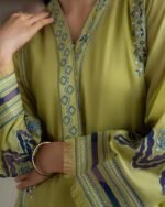 PAKISTANI GREEN PAISELY DRESS - Image 3