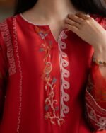 PAKISTANI KIARA RUST DRESS - Image 2